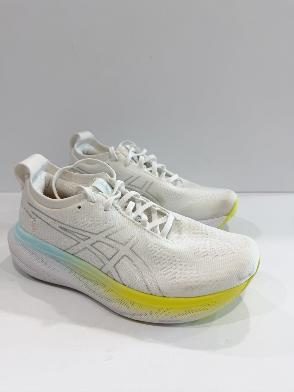 Asics Nimbus 25 Women’s Shoes